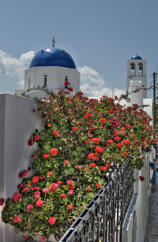 Flowers of Santorini